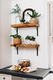 Hedgehog Planter - SM