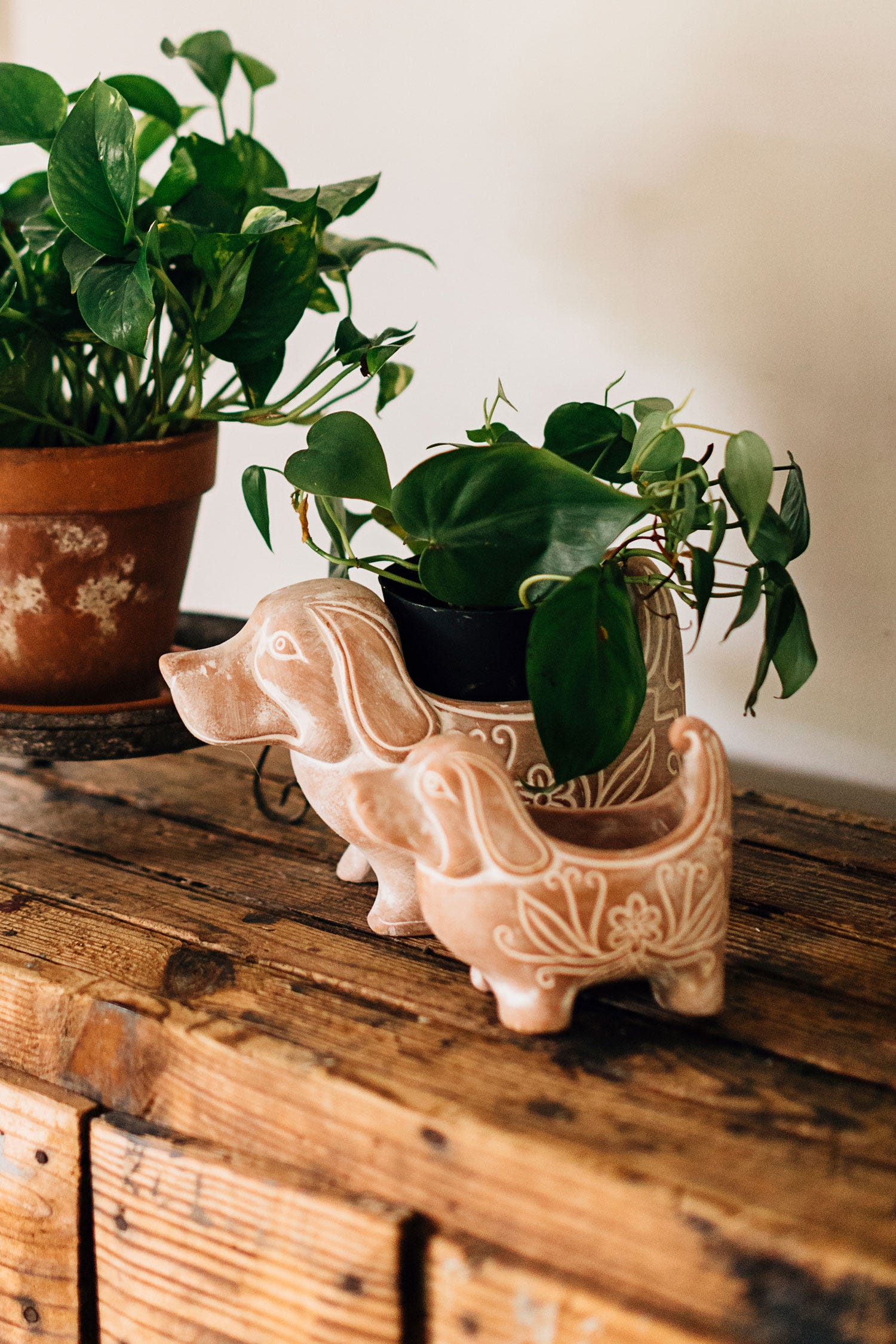 Terracotta Dog Planter (LG)