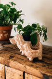 Terracotta Dog Planter (LG)