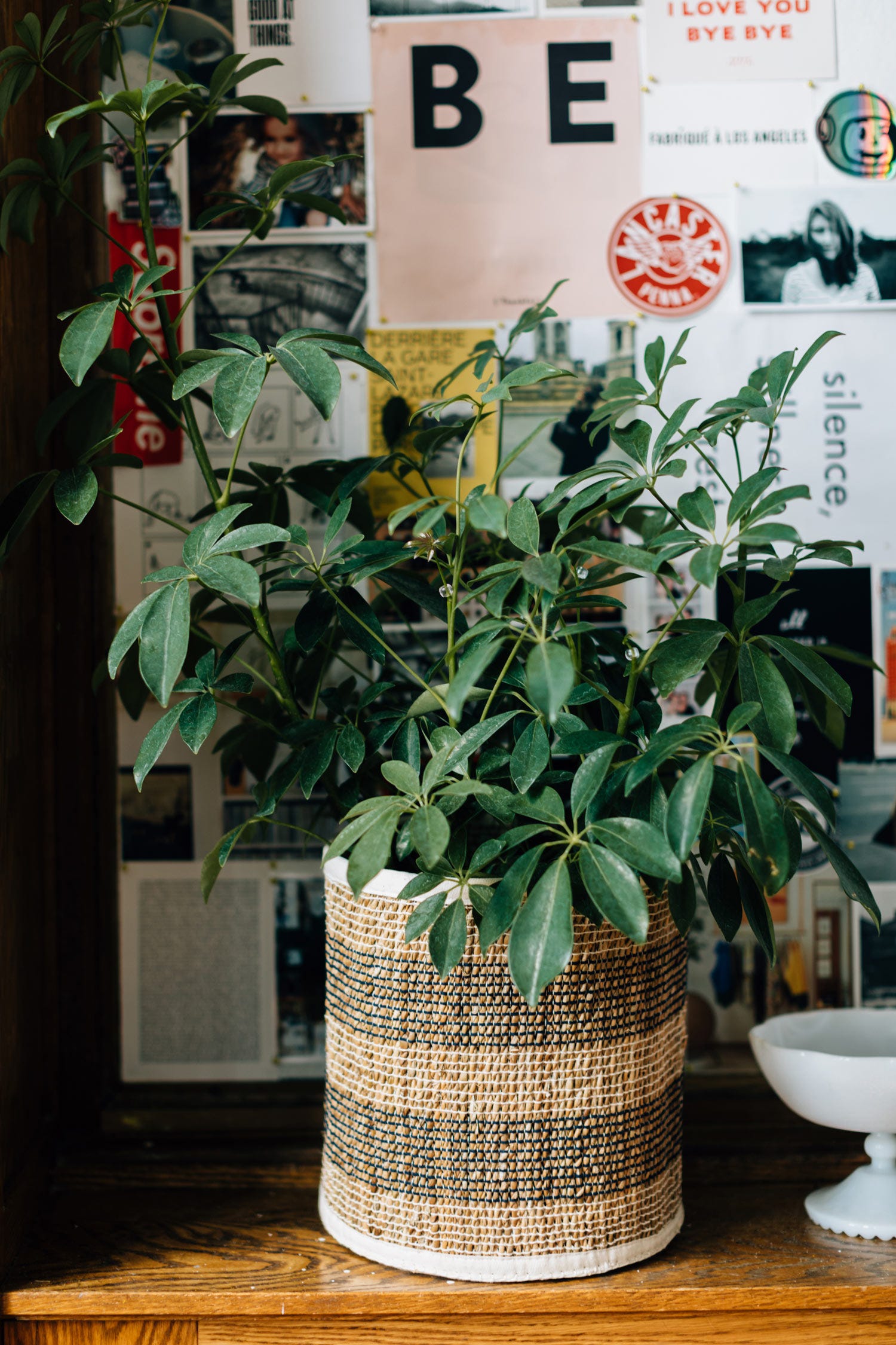 Striped Hogla Basket (LG)