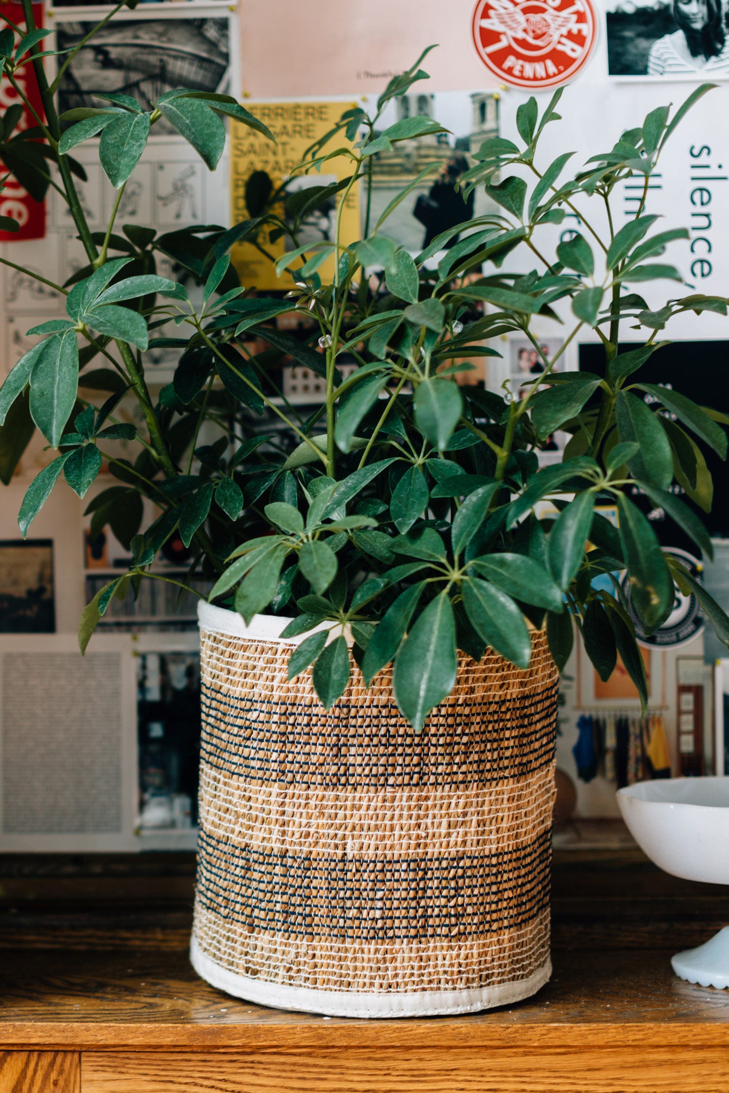 Striped Hogla Basket (LG)