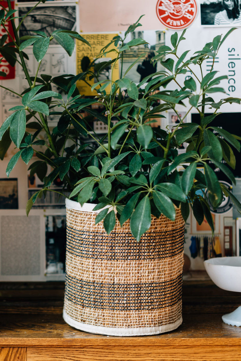 Striped Hogla Basket (LG)