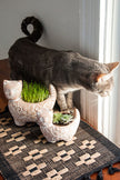 Garden Kitty Planter (SM)