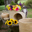 Kaisa Grass Basket Bowl (SM)