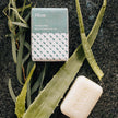 Aloe Soap