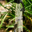 Indira Cast Iron Rain Gauge