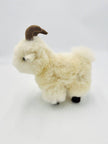 My Little Goat: White