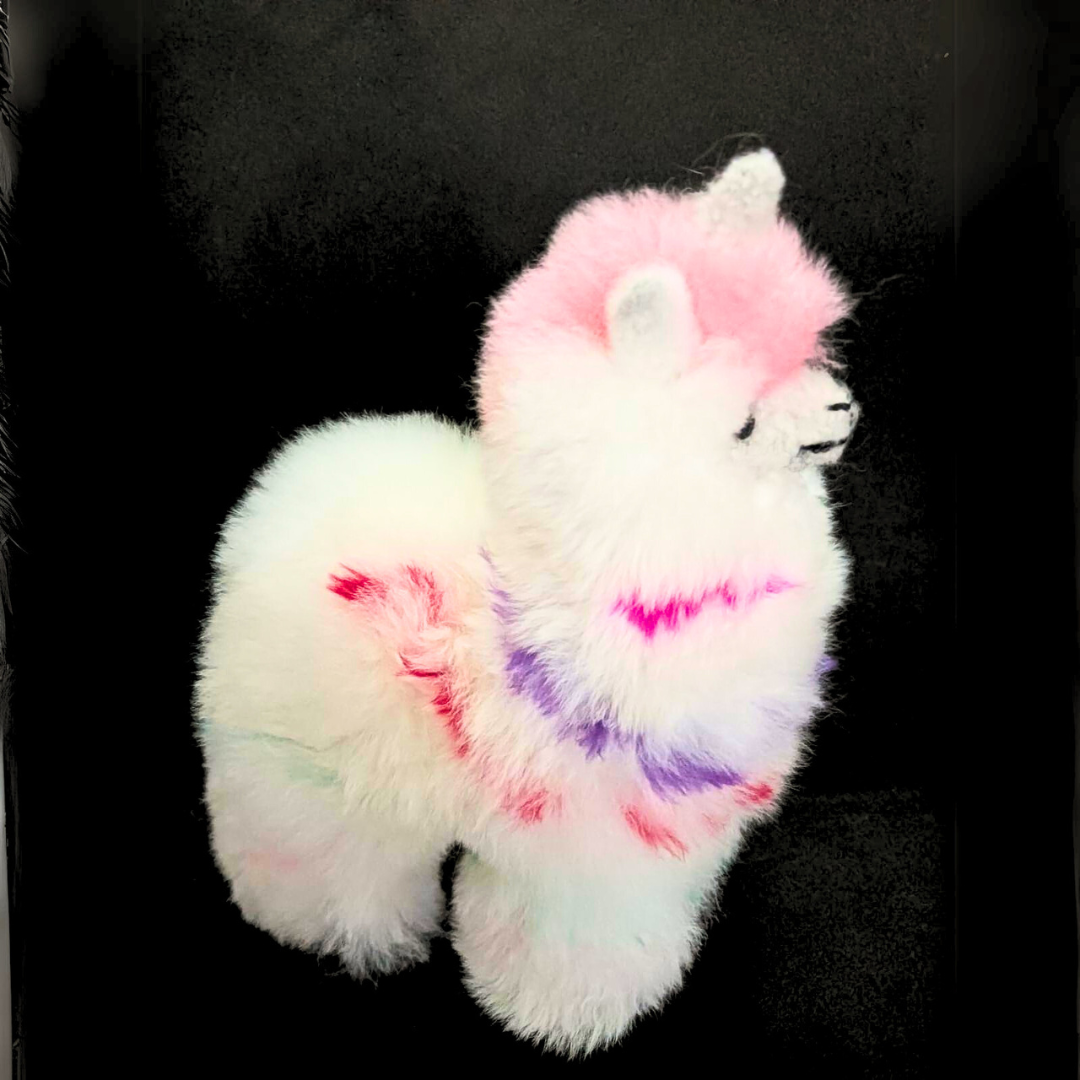 Colorinche Llamacorn: Vibrant Flare