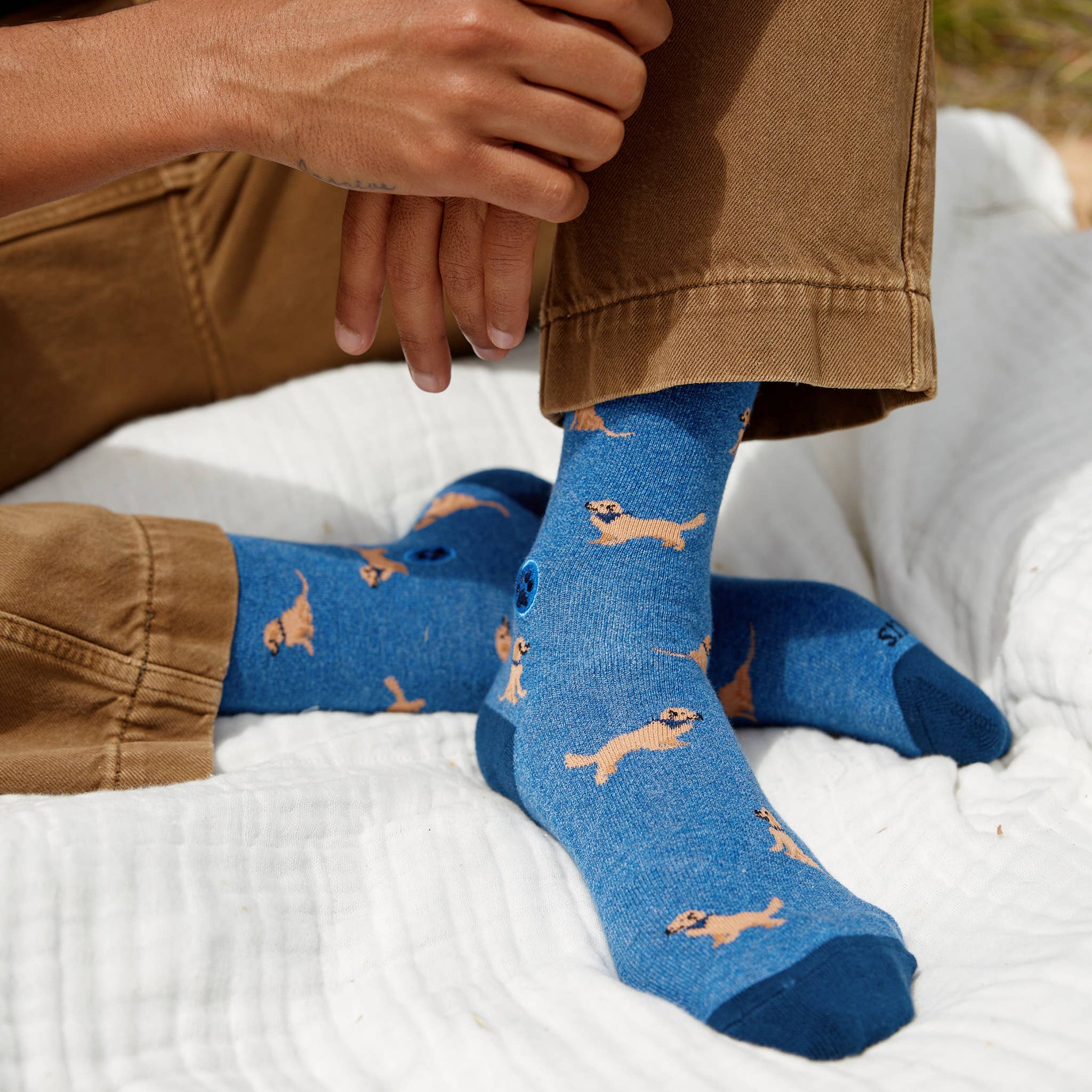 Socks that Save Dogs: Blue Golden Retrievers