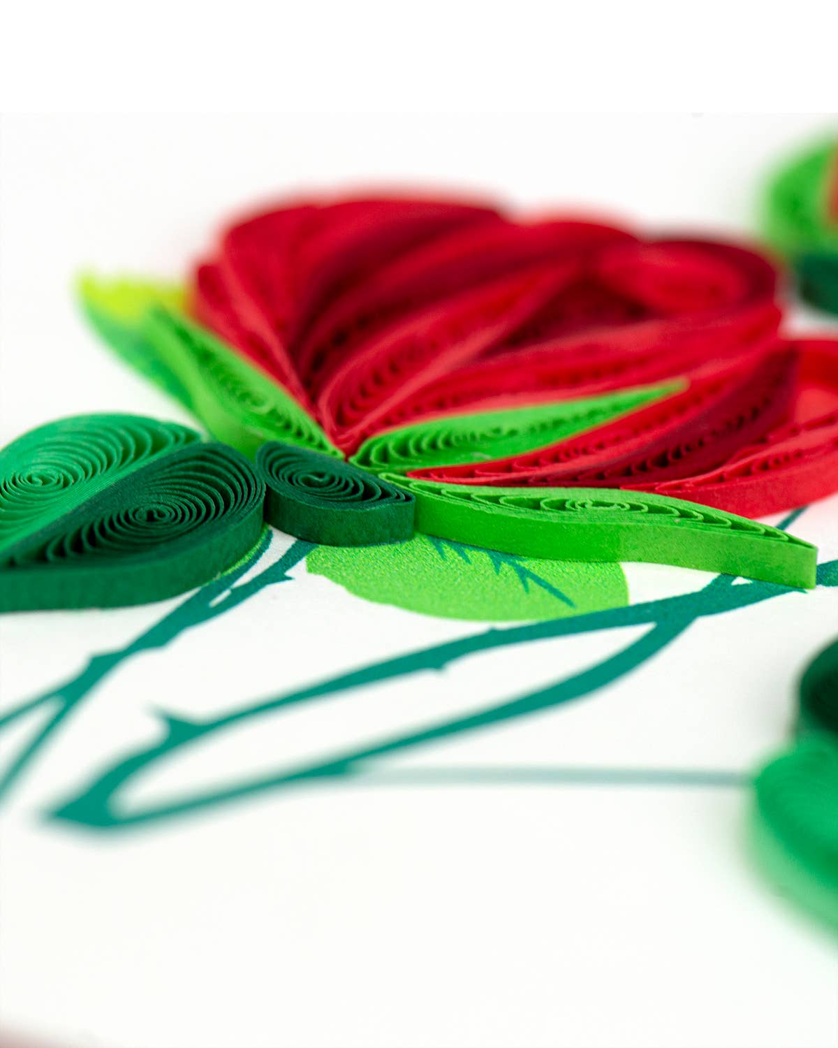 Red Roses Everyday Greeting Card