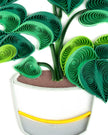 Quilled Monstera Everyday Greeting Card