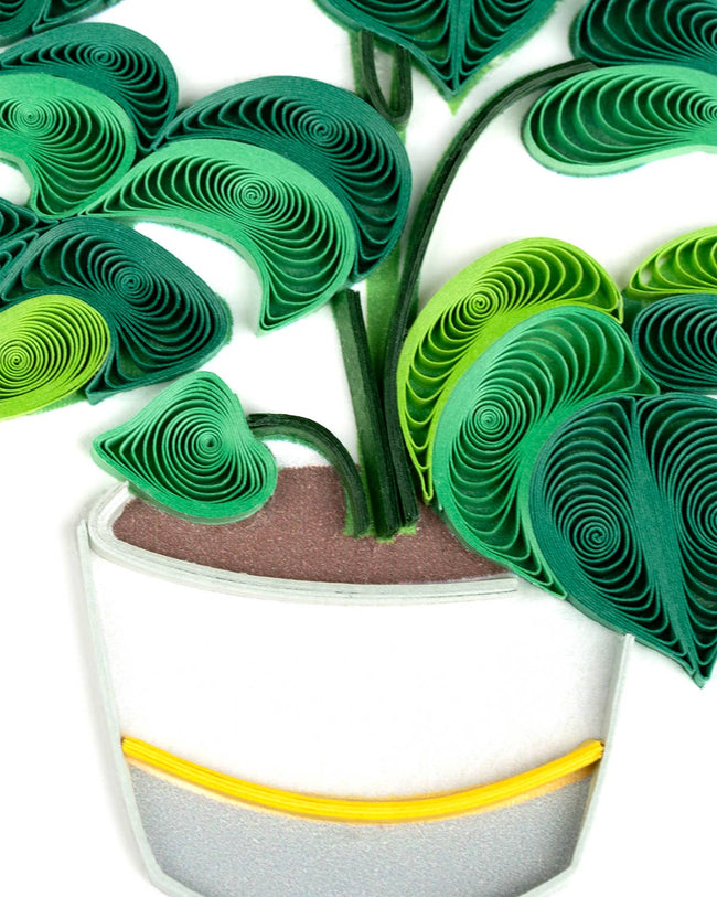 Quilled Monstera Everyday Greeting Card
