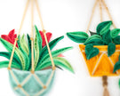 Macrame Plant Hangers Greeting Card