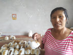 Blilingual Fair Trade book: Cuyita Wants to Know the World