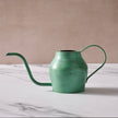 Bujhana Iron Watering Can - 5.5