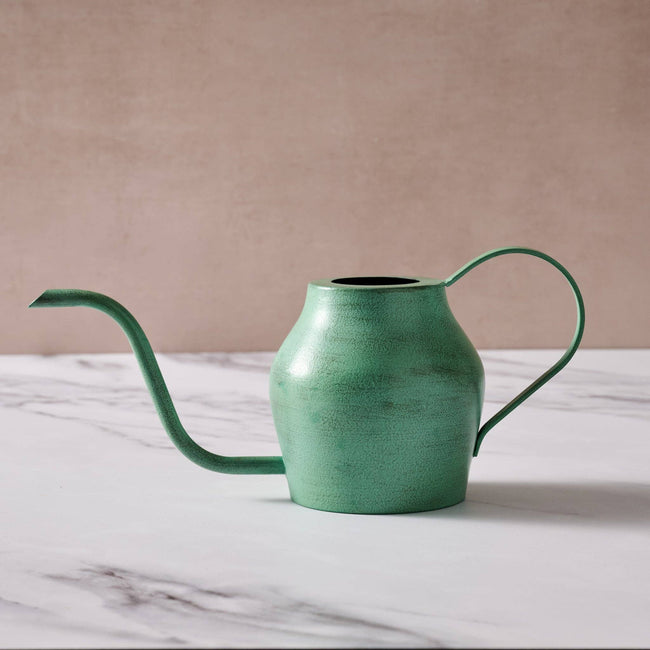 Bujhana Iron Watering Can - 5.5