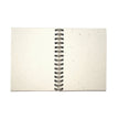 Large Notebook: Lion