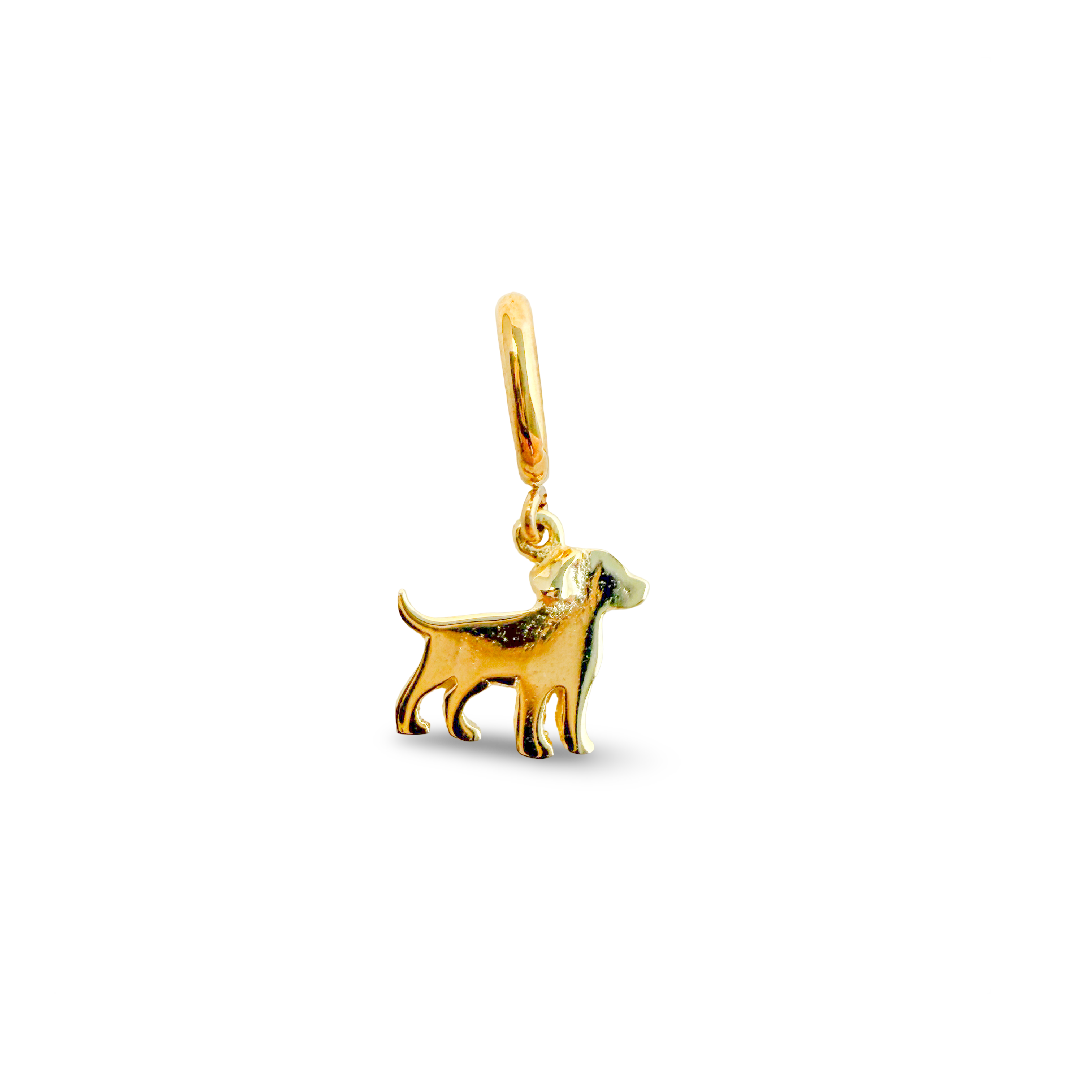 Dog Charm