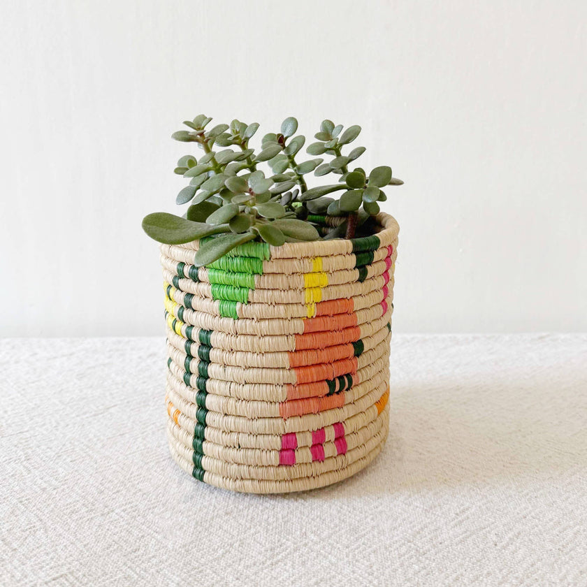 Storage Plant Basket: Kisi