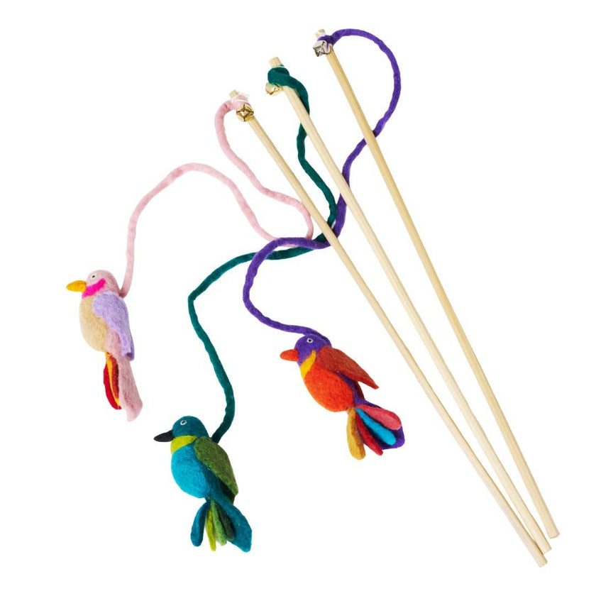 Teaser Cat Toy, Exotic Birds: Peacock