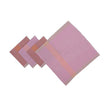 MANGO SALSA Napkin (Set of 4)