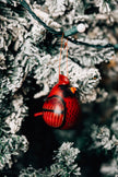 Cardinal Gourd Ornament