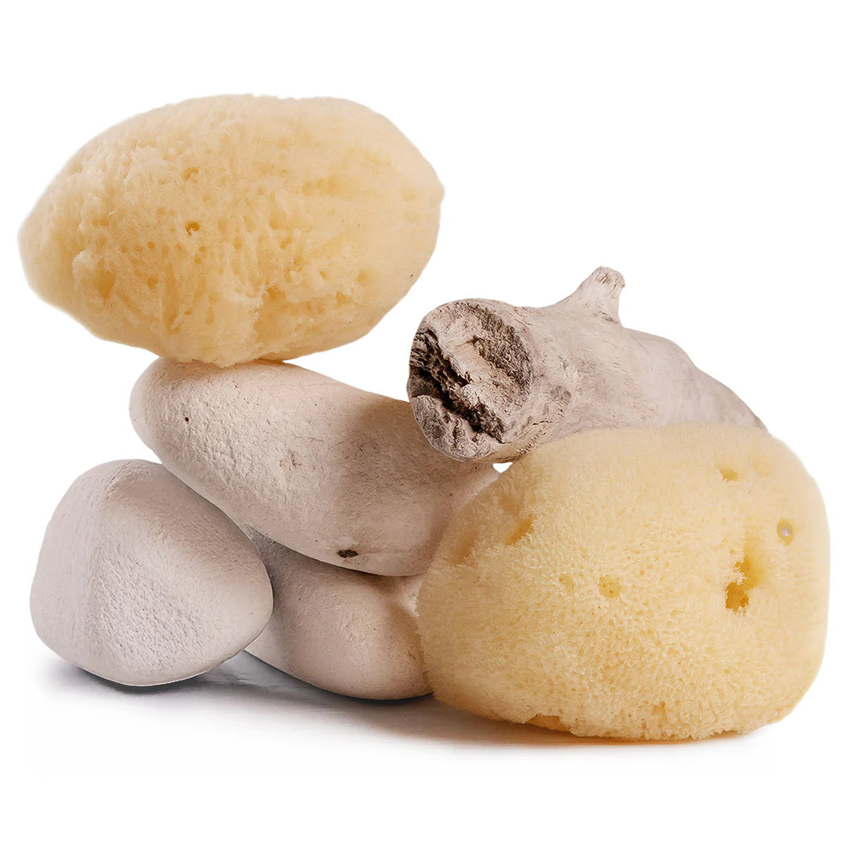 Cleansing Sea Sponge
