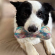 Eco Wool Dog Bones/Toys: Tie-Dyed Large