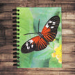 Large Notebook: Butterfly Black and Red