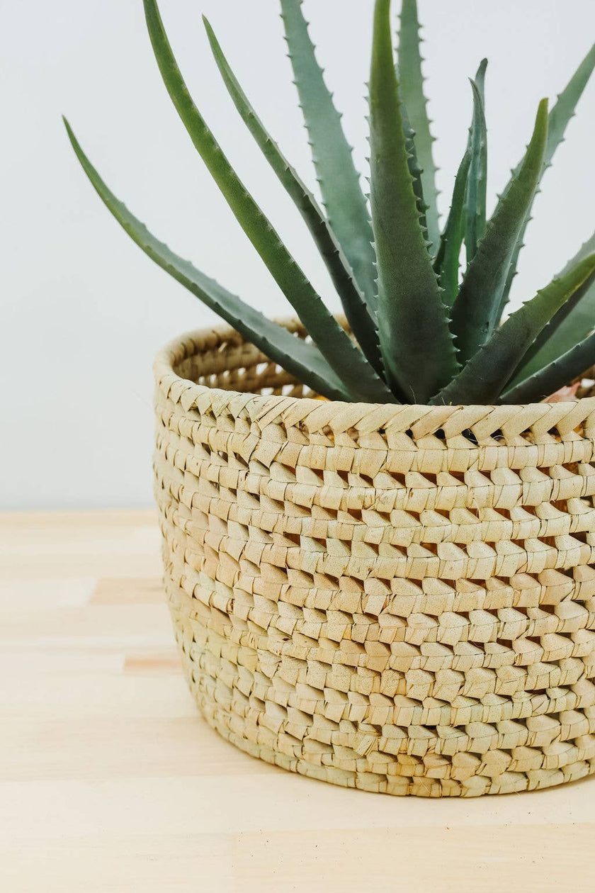 Potted Planter, Palm Leaf: Small