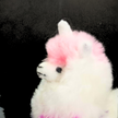 Colorinche Llamacorn: Vibrant Flare