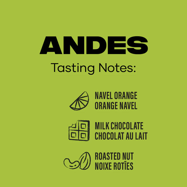 Andes Coffee: Whole Bean