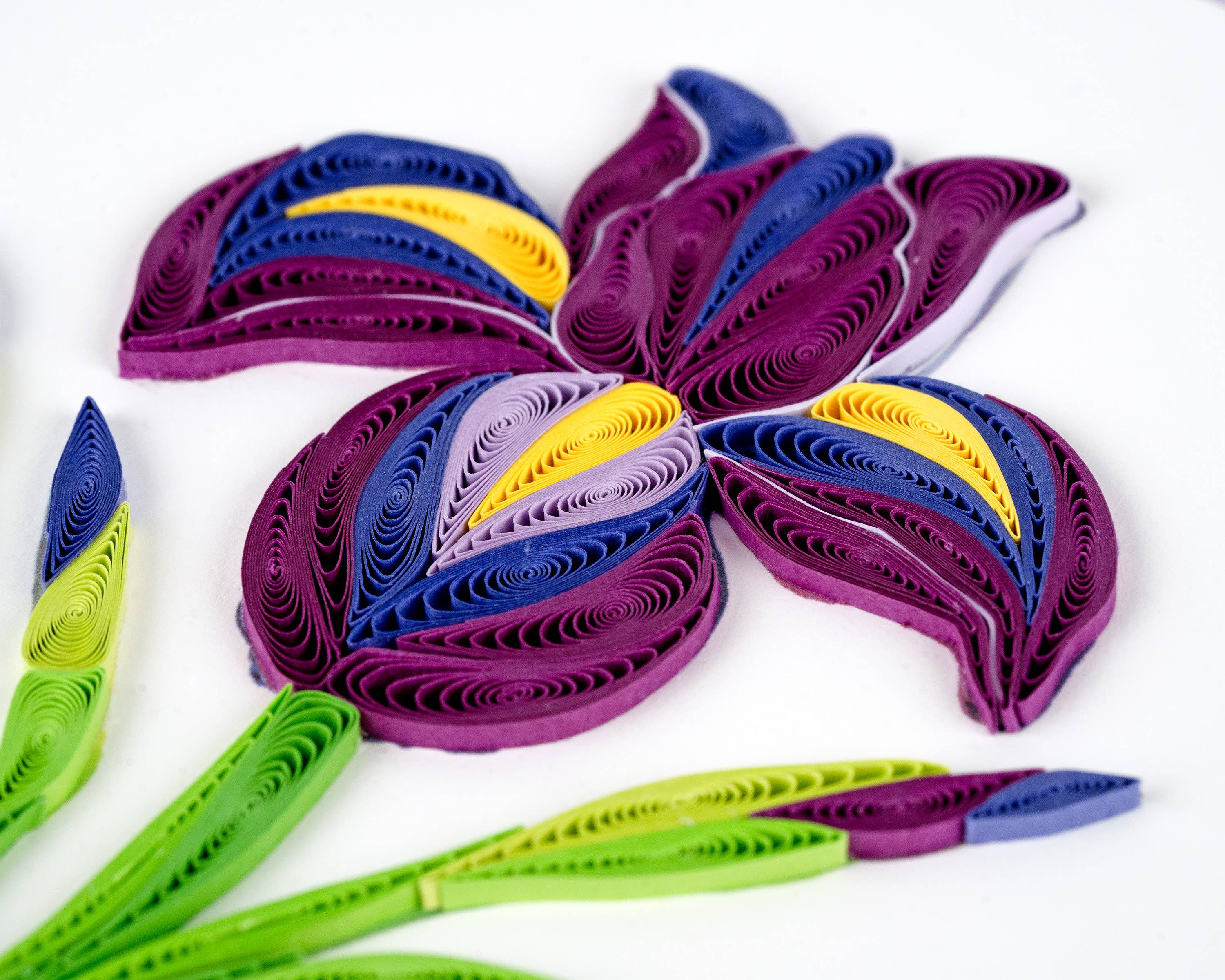 Quilled Iris Greeting Card