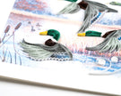 Duck Migration Greeting Card