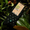 Socks that Plant Trees: Tiny Trees