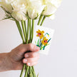 Daffodil Gift Enclosure Mini Card