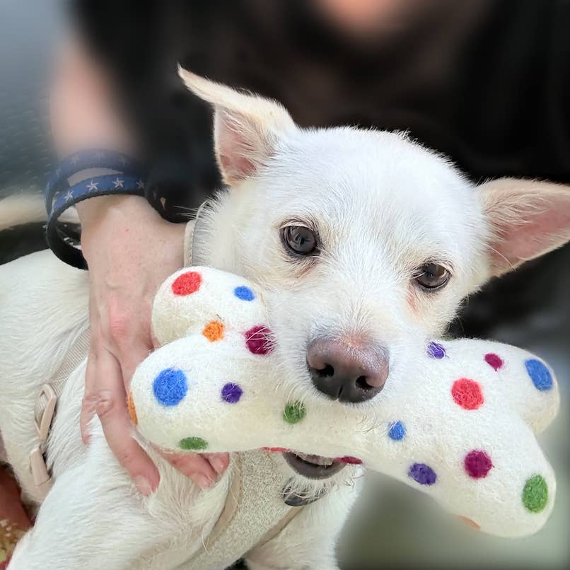 Eco Wool Dog Bones/Toys:  Tye-Dyed / Large