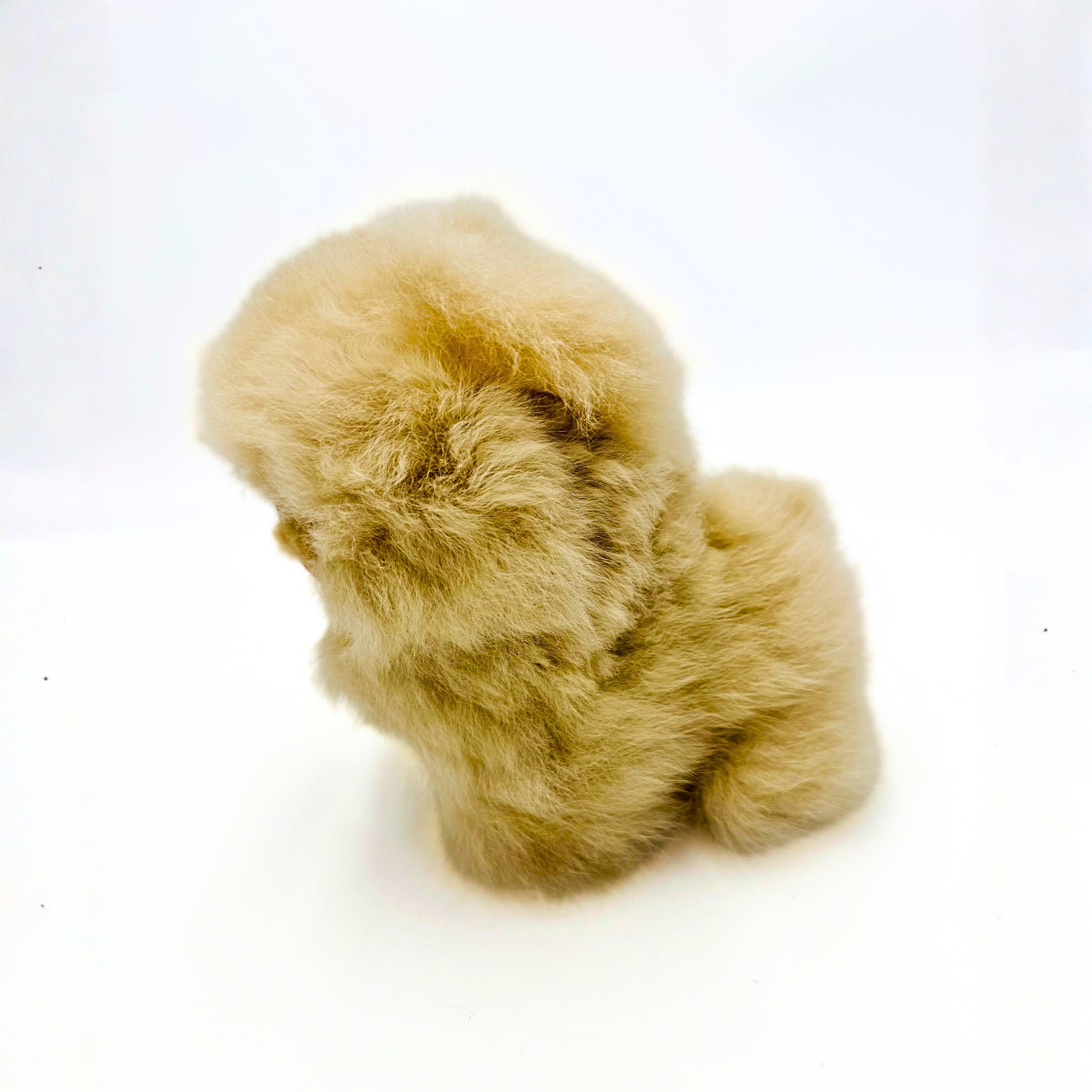 Chow Chow Alpaca Toy
