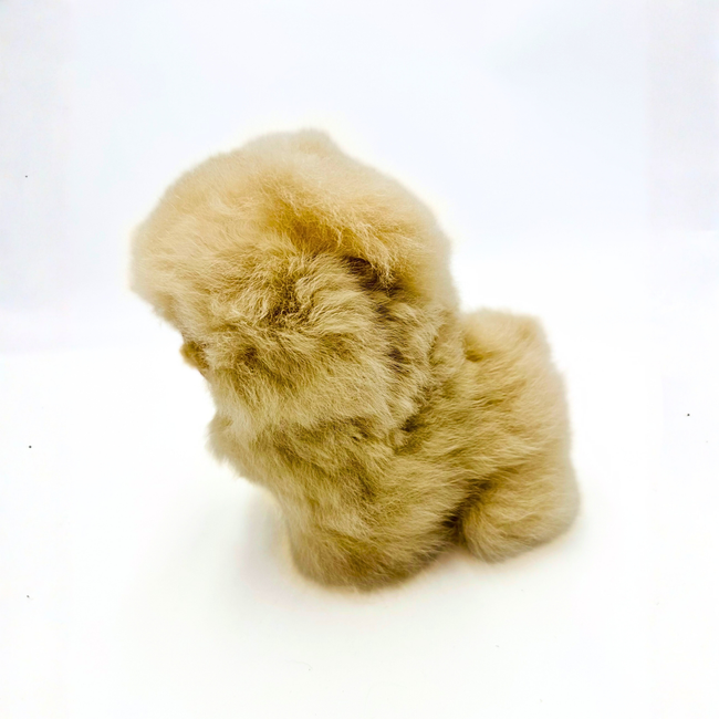 Chow Chow Alpaca Toy