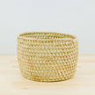 Potted Planter, Palm Leaf: Large