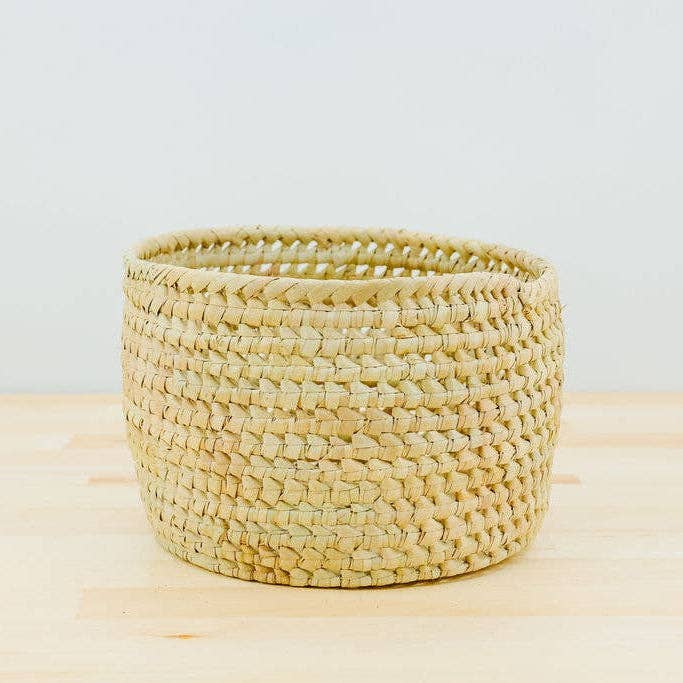 Potted Planter, Palm Leaf: Small