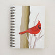 Large Notebook: Cardinal Natural White