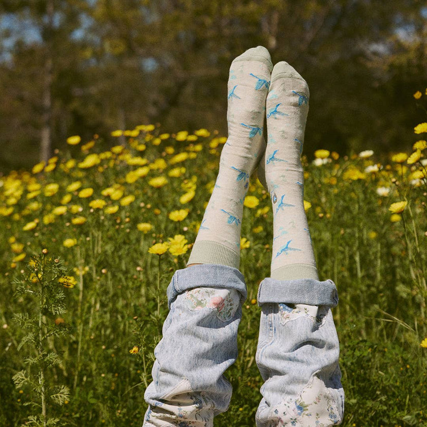 Socks that Protect Pollinators: Hummingbirds