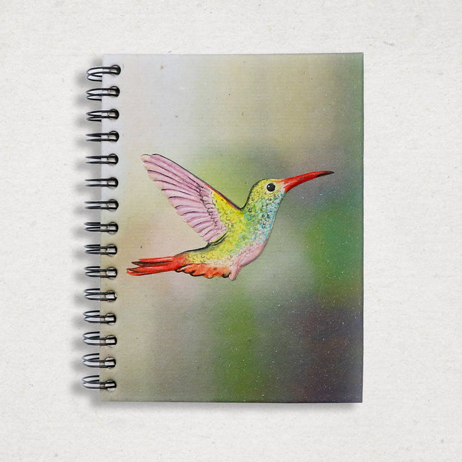 Large Notebook:  Hummingbird