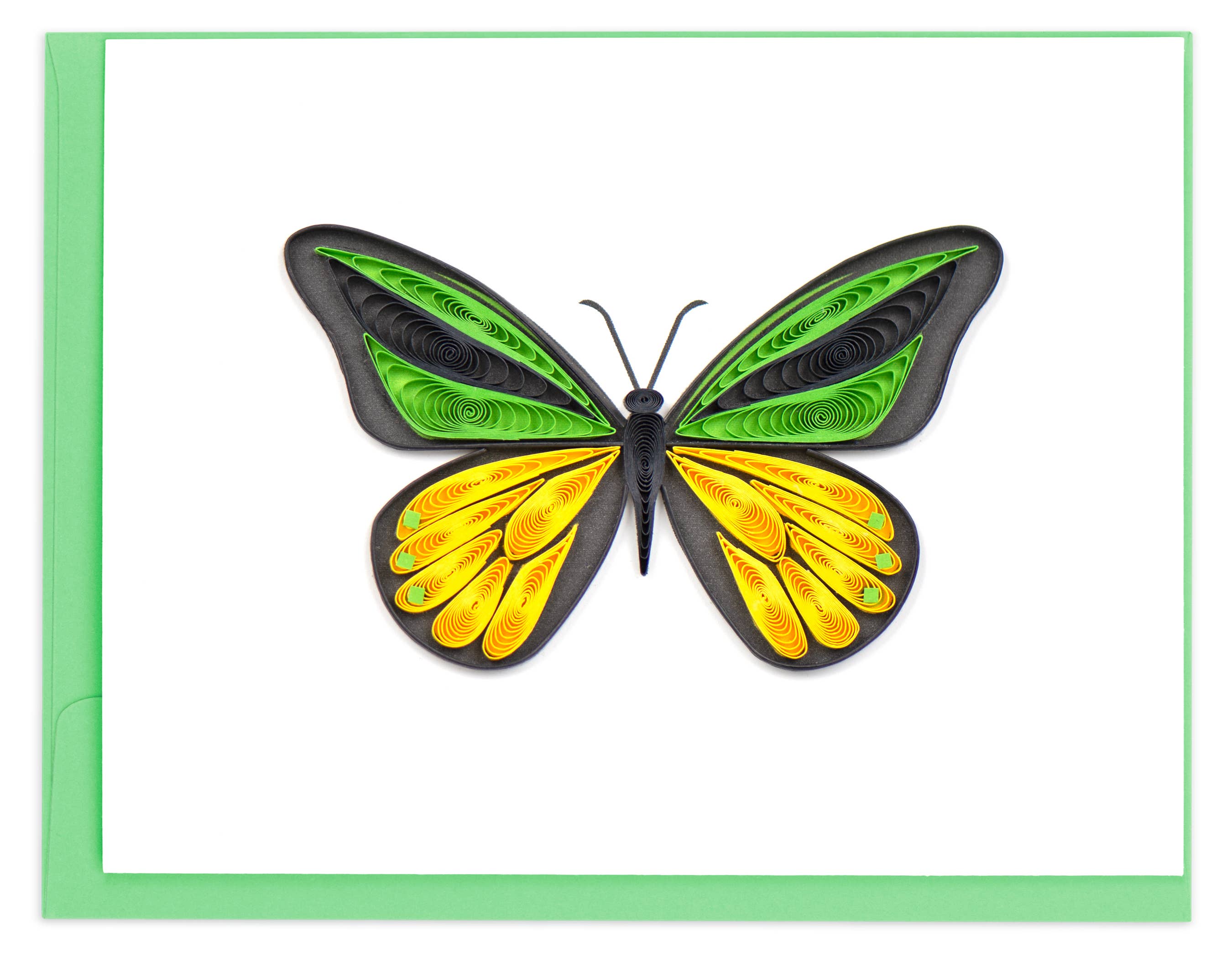Note Card Box Set- Butterflies 2
