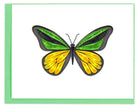 Note Card Box Set- Butterflies 2
