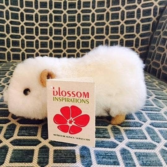 Cuyita Guinea Pig Alpaca Fur Toy: 5” x 2.0”