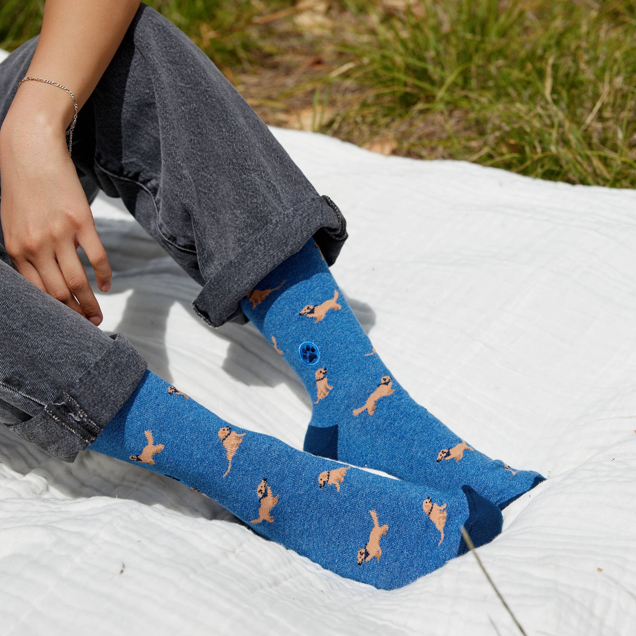 Socks that Save Dogs: Blue Golden Retrievers