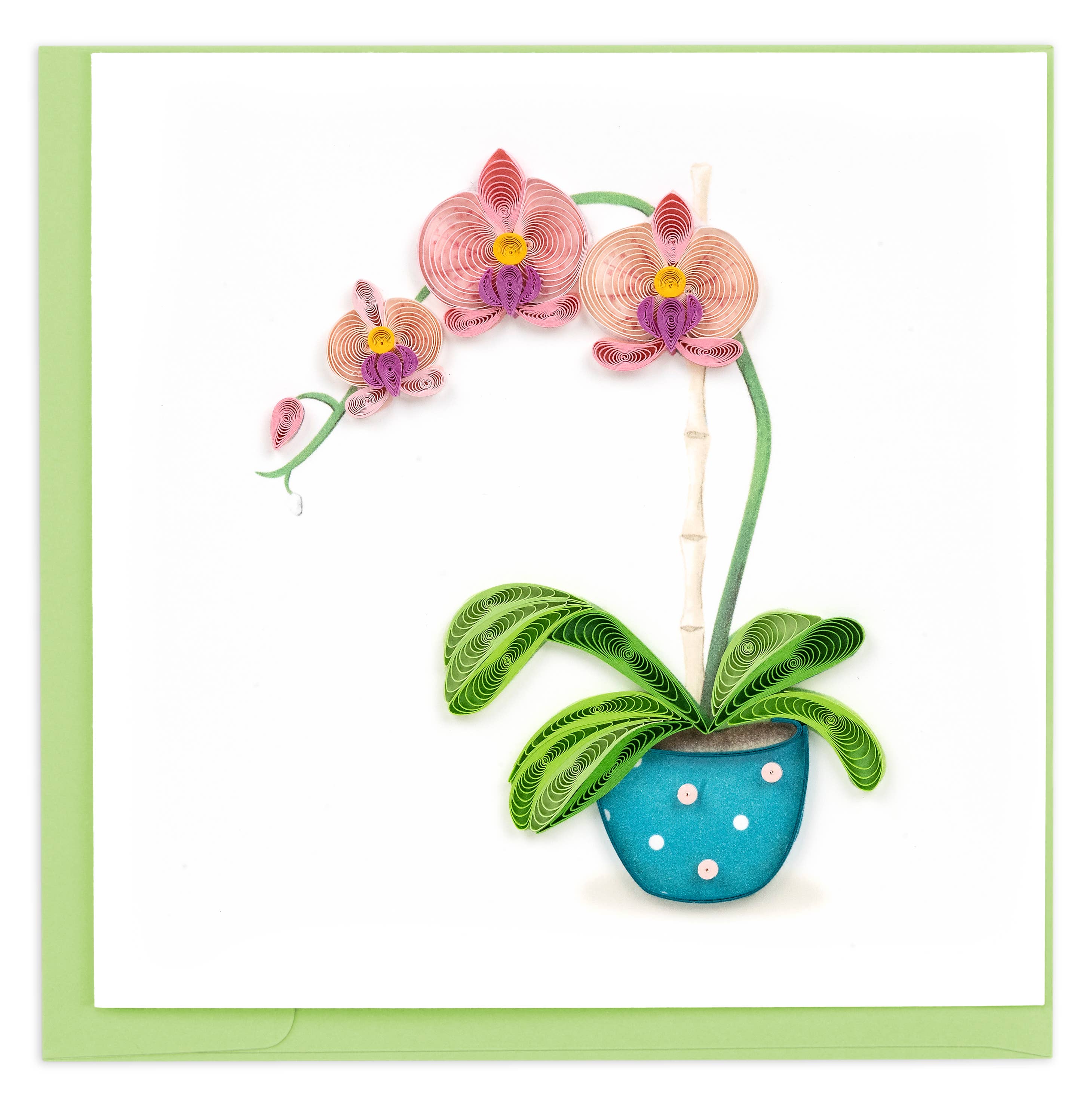 Potted Orchid Greeting Card