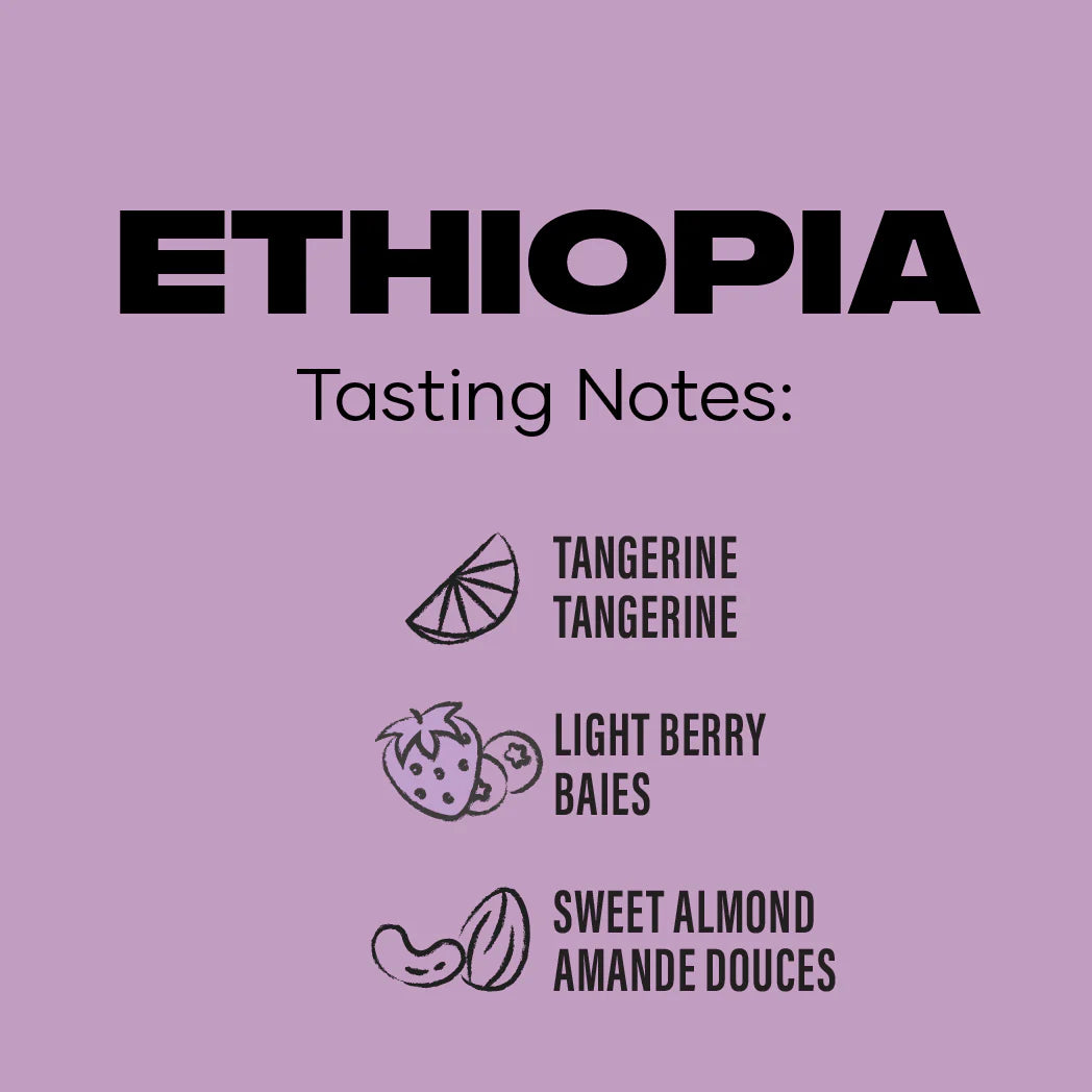 Ethiopia Coffee: Ground